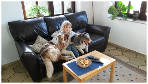 Lila mit den Aussies